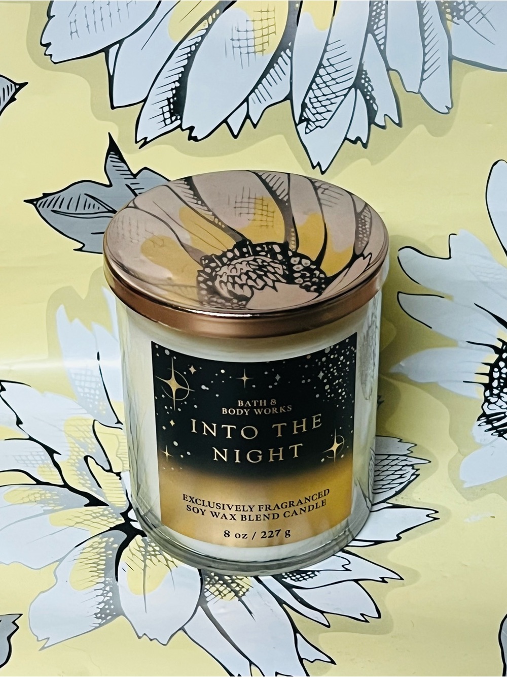 Bath & Body Works INTO THE NIGHT Single Wick Candle 8 oz